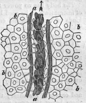 Fig. 4T.