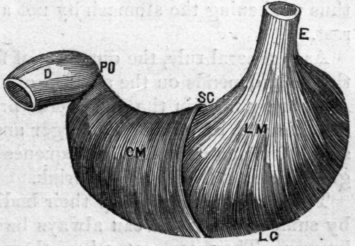 Fig. 54.