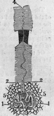 Fig. 58.