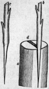Fig. 66.