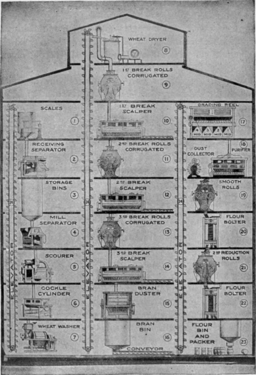 Courtesy of the Washburn Crosby Co. Fig. 54. Simplified diagram of a flour mill.