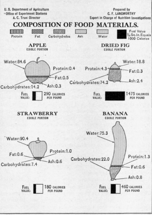 Fig. 25.   Composition of fruit.