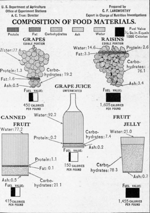 Fig. 26.   Composition of fruit.