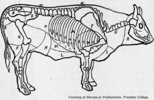 Fig. 58. Cuts of beef.