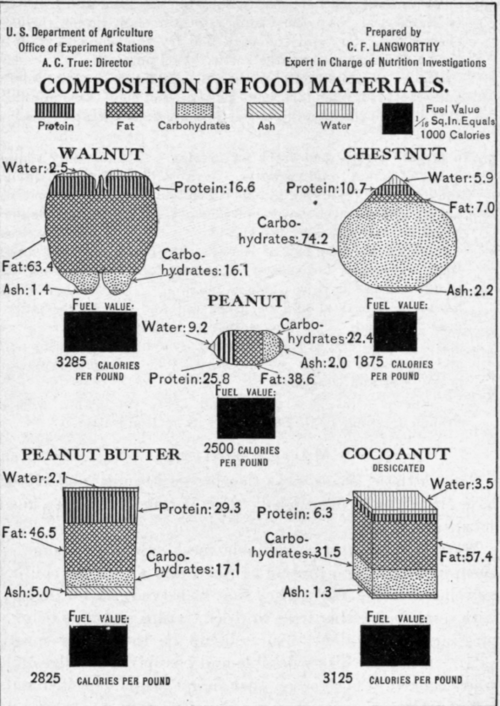 Fig. 66.   Composition of nuts.