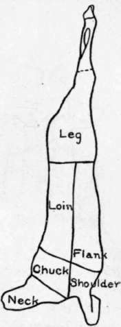 Side Of Lamb