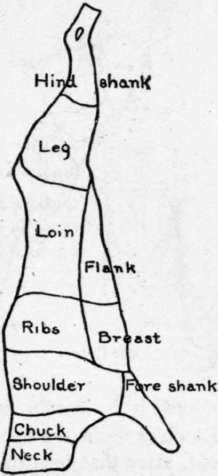 Side Of Veal