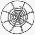 A worked wheel