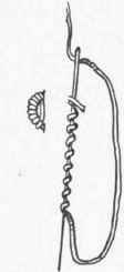 Buttonholing 100128