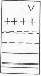 Denotes the seams that are to be joined together.