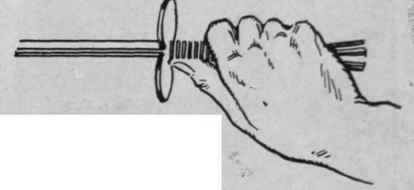 Fig. 3. Hand in pronation that is, with the palm undermost
