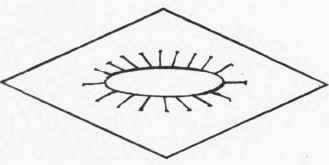 Place this ring flat on the centre of a sheet of spartra, pin it down f rmly, then pencil mark round to obtain head mark.