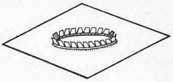 Replace head wire on head mark, and firmly buttonhole stitch all round to prevent stretching of crown.