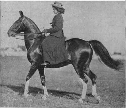 The healthy, open air loving girls of Canada are generally good riders. Many of them have abandoned the side saddle and ride astride Copyright. Canadian Pacific Kailway