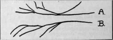 7. Branching lines (a) Ascending (b) Descending