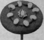 Flat turquoise beads threaded on dull brown filoselle, em broidered on suede of the same shade, are distinctly artistic and novel