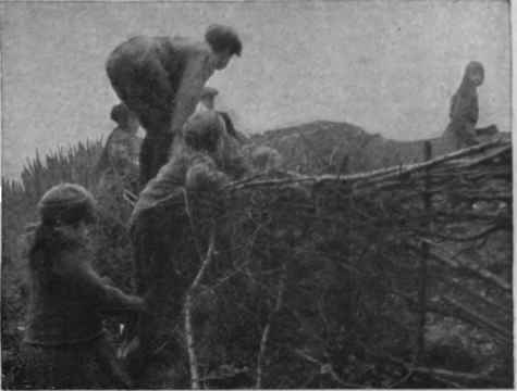 Hounds negotiating a difficult hurdle and bramble fence in full cry after the hare
