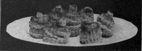 Oyster Patties