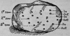 Fig. 3. Showing where the needle is to be put in and drawn out of a fillet of beef or a veal cutlet