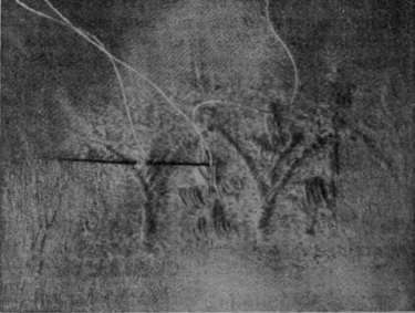 Fig. 4. The pattern is worked out over the darn with the finest thread to match the damask as far as possible