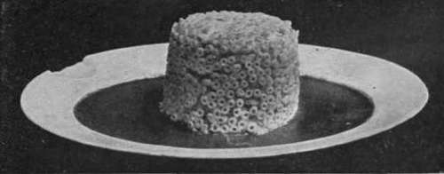 Timbale of Game. An excellent method of utilising any cooked game