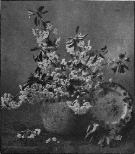 Wild cherryblossom from the hedges should be placed in large low vases