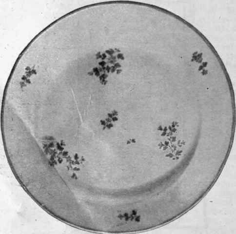 A Pinxton plate of early date, decorated with blue cornflowers and foliage, and edged with blue enamel in place of gold