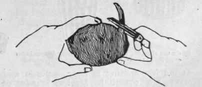 A potato peeler removes the peel more neatly and evenly than an ordinary knife