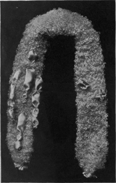 A white necklet to match the muff, with rosettes and ribbons of blue satin merv