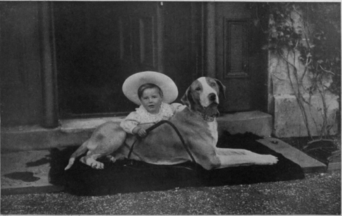 A youthful master of a noble dog. A Great Dane can be trained as a child's companion and guardian, and is usually of a long suffering and kindly disposition