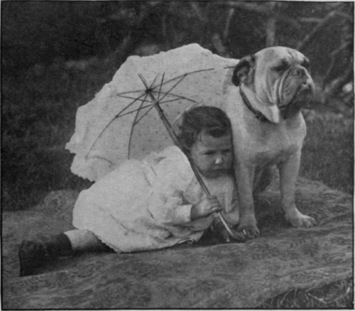The most cherished of babies can be left with confidence in charge of the most ferocious looking bulldog