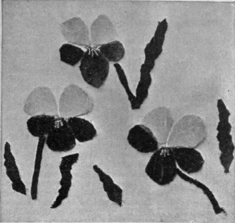 The pansy is an effective flower when carried out in applique velvet work. The shadings can range from the lightest to the darkest tones