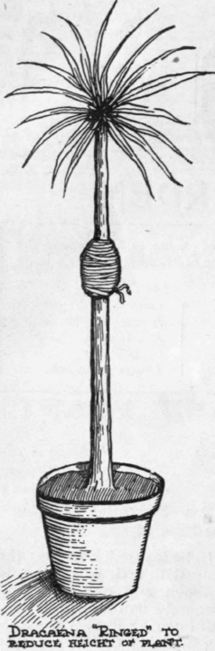 This operation can be performed by the amateur