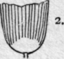 Varieties Of Burners 5