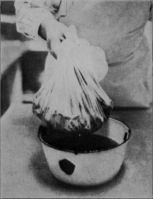 Fig. 11 - After being blanched, the product is immediately