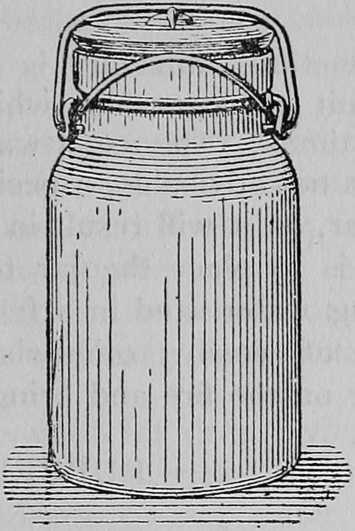 Fig. 3. - Closed Spring-top jar.