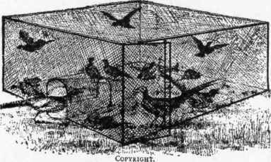 Boulton & Paul's Wire Cage or Trap.