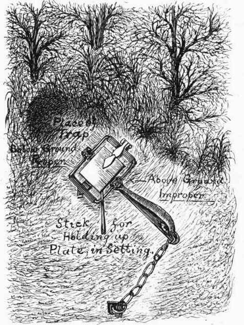 Burgess's Improved Humane Trap.