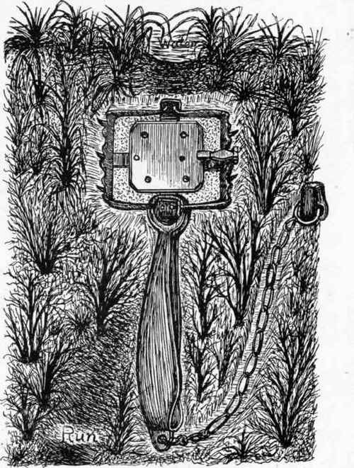 Very Strong Spiked Otter Trap. (Supplied by Messrs. Wm. Burgess & Co., Malvern Wells.)
