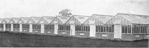 VIEW OF MODERN GLASSHOUSES AT Messrs. R. COBLEY & CO.'S NURSERY.