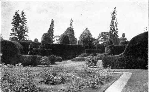 The Yew Garden; Arley.