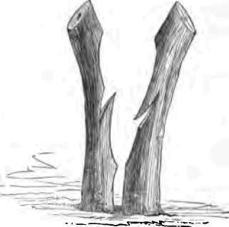 Inarching 230027