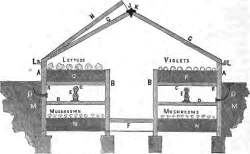 Sectional View of Colder's Houses.