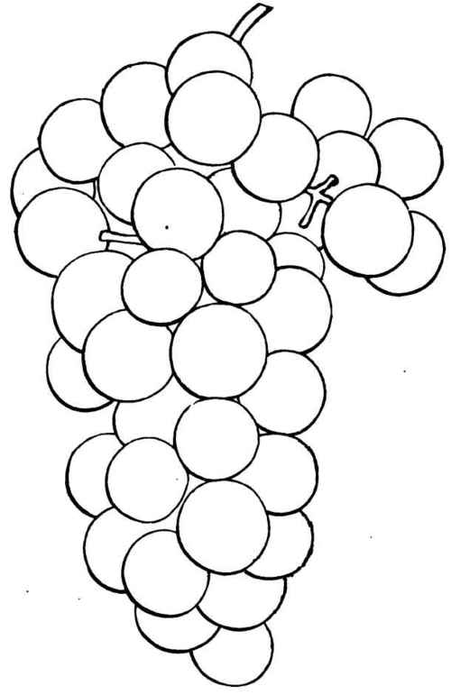 Walter Grape.