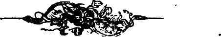 Rabbits In Severe Seasons 1100140