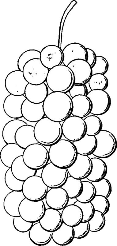 Rebecca Grape.