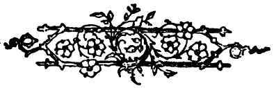 Water Cress 160025