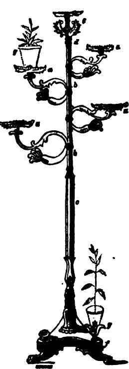 Window Gardening And Plant Cases 300138