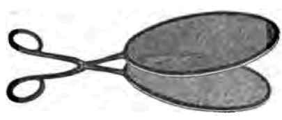 A Wasp Catcher 500113