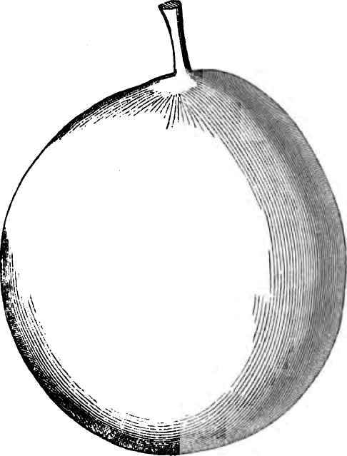 COLUMBIA PLUMB.